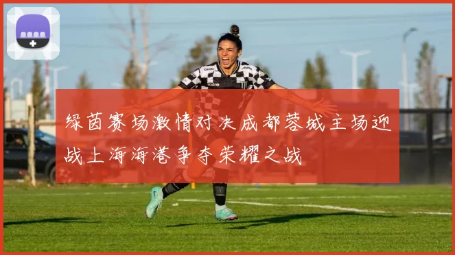 绿茵赛场激情对决成都蓉城主场迎战上海海港争夺荣耀之战